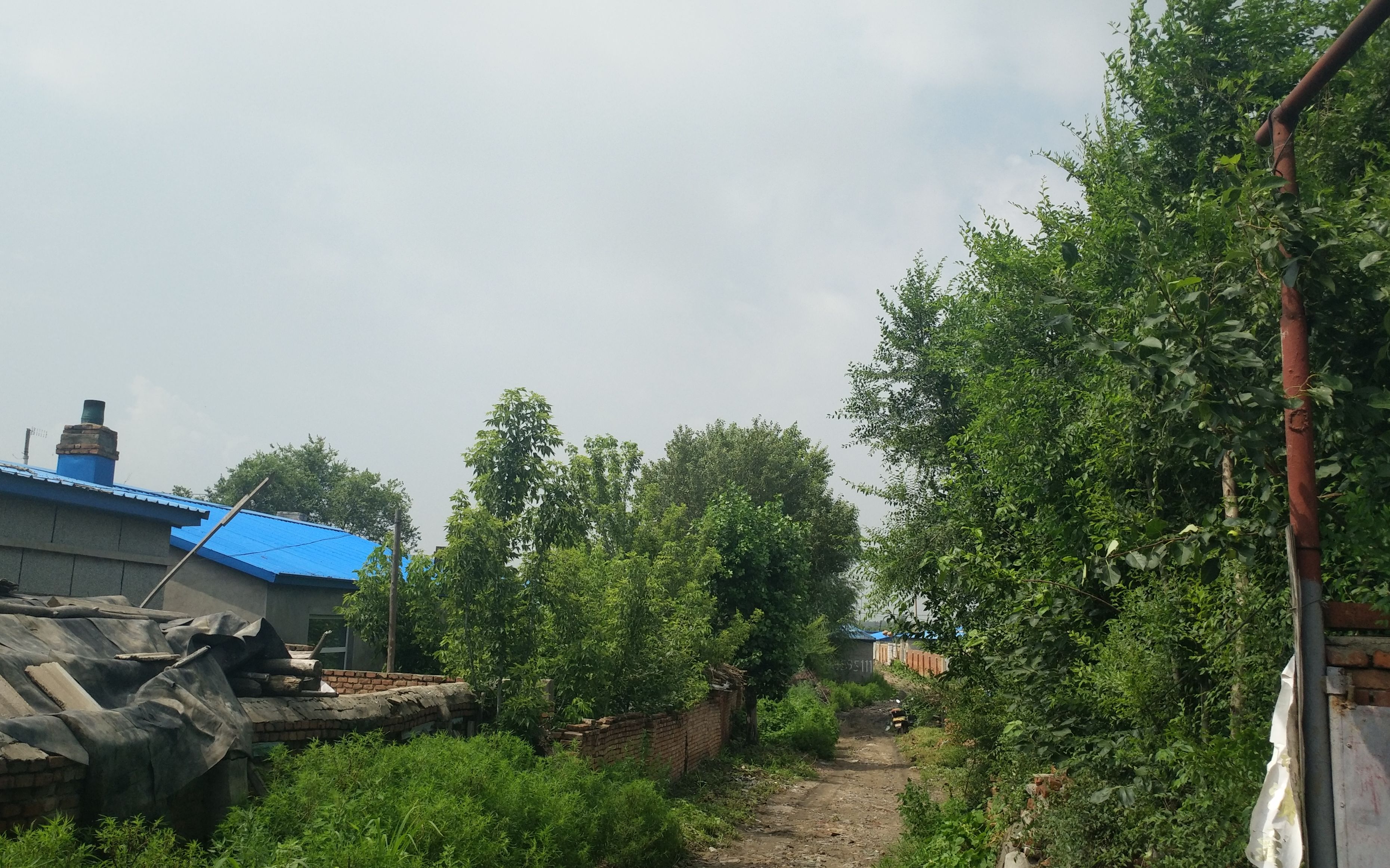 黑龙江省大庆市农村的普通的出行算不算是民俗文化记录下来的农民活动