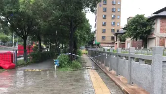 雨天的塘朗山