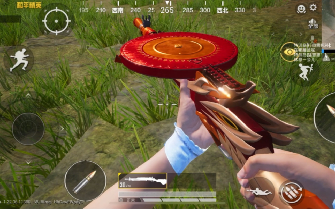 和平精英 dp-28 齐天大圣 轻机枪 皮肤