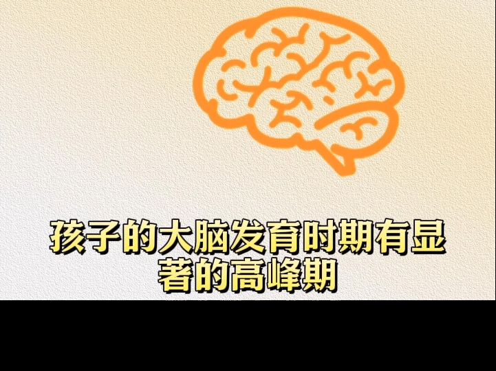 哈佛大学研究发现:孩子大脑在10岁前有三次变聪明的机会!