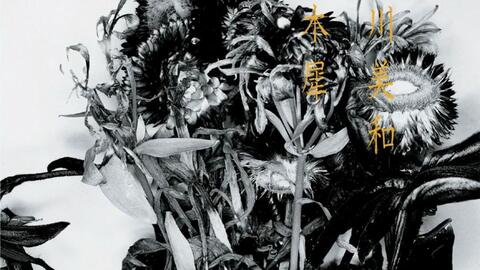 Ayaka絢香 キンモクセイ 金木犀 哔哩哔哩 Bilibili