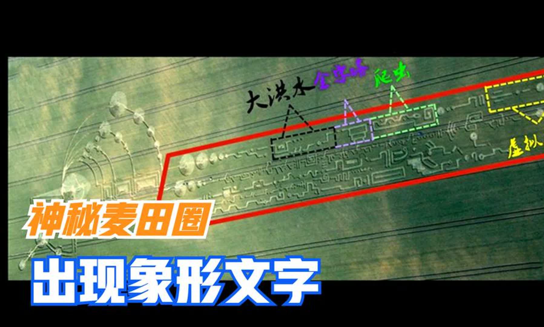 麦田怪圈出现象形文字,破译后得到了什么信息?