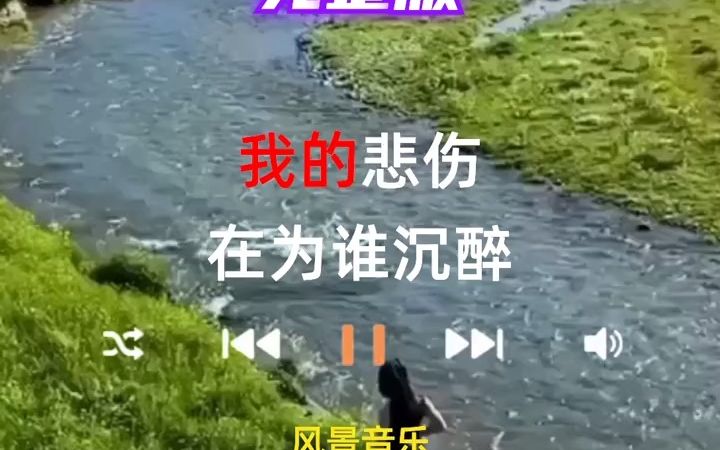 [图]《今夜的雨是谁的泪》我的悲伤在为谁沉醉