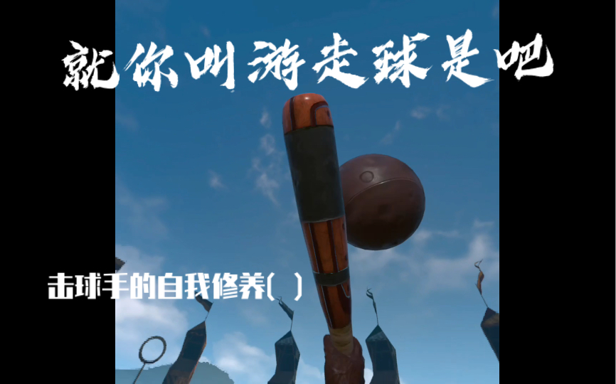 vr魁地奇就你叫游走球啊