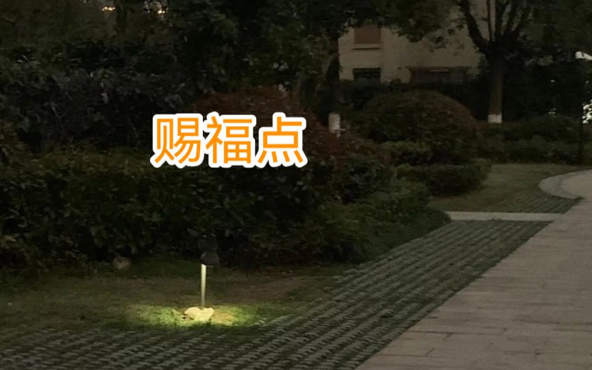 [图]艾尔登法环后遗症