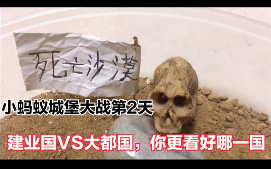 [图]「蚂蚁城堡大战」新增野区“死亡沙漠”，小蚂蚁vs天牛谁会胜出？