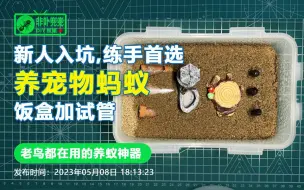 Download Video: 【新手养蚁】简易自制蚁巢：饭盒加试管--养蚂蚁神器(1)