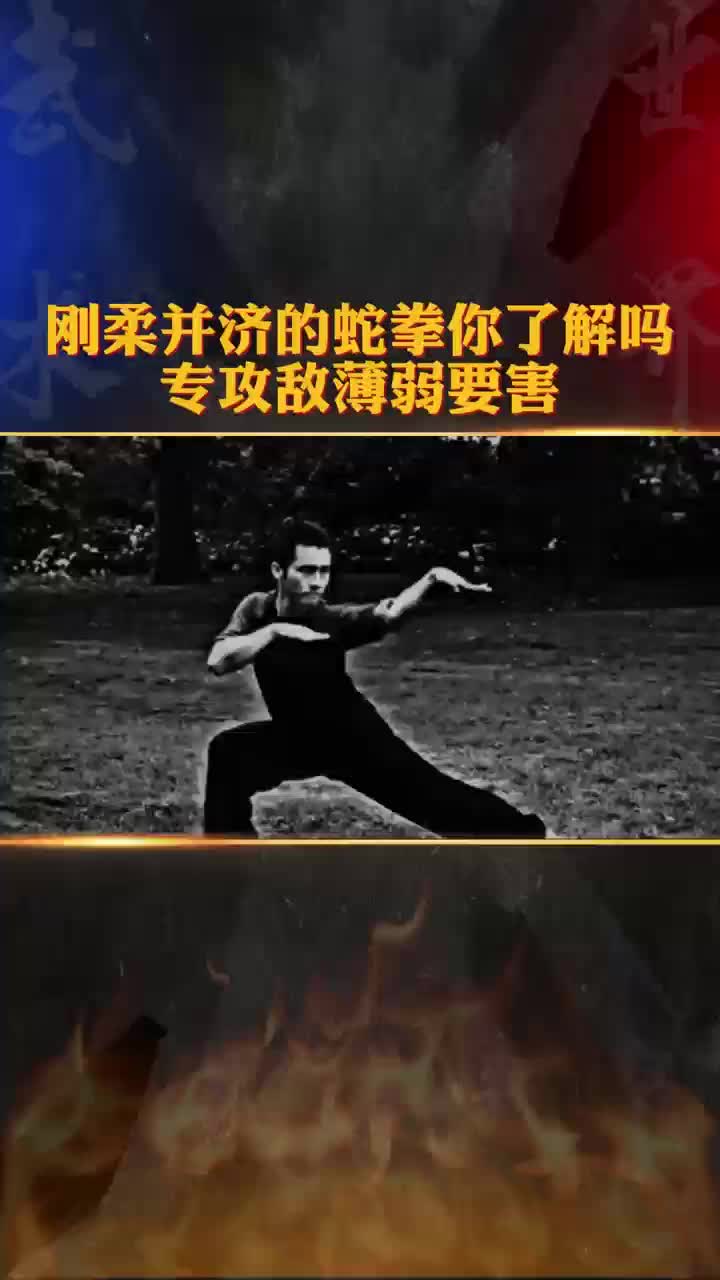 刚柔并济的蛇拳你了解吗 专攻敌薄弱要害哔哩哔哩bilibili