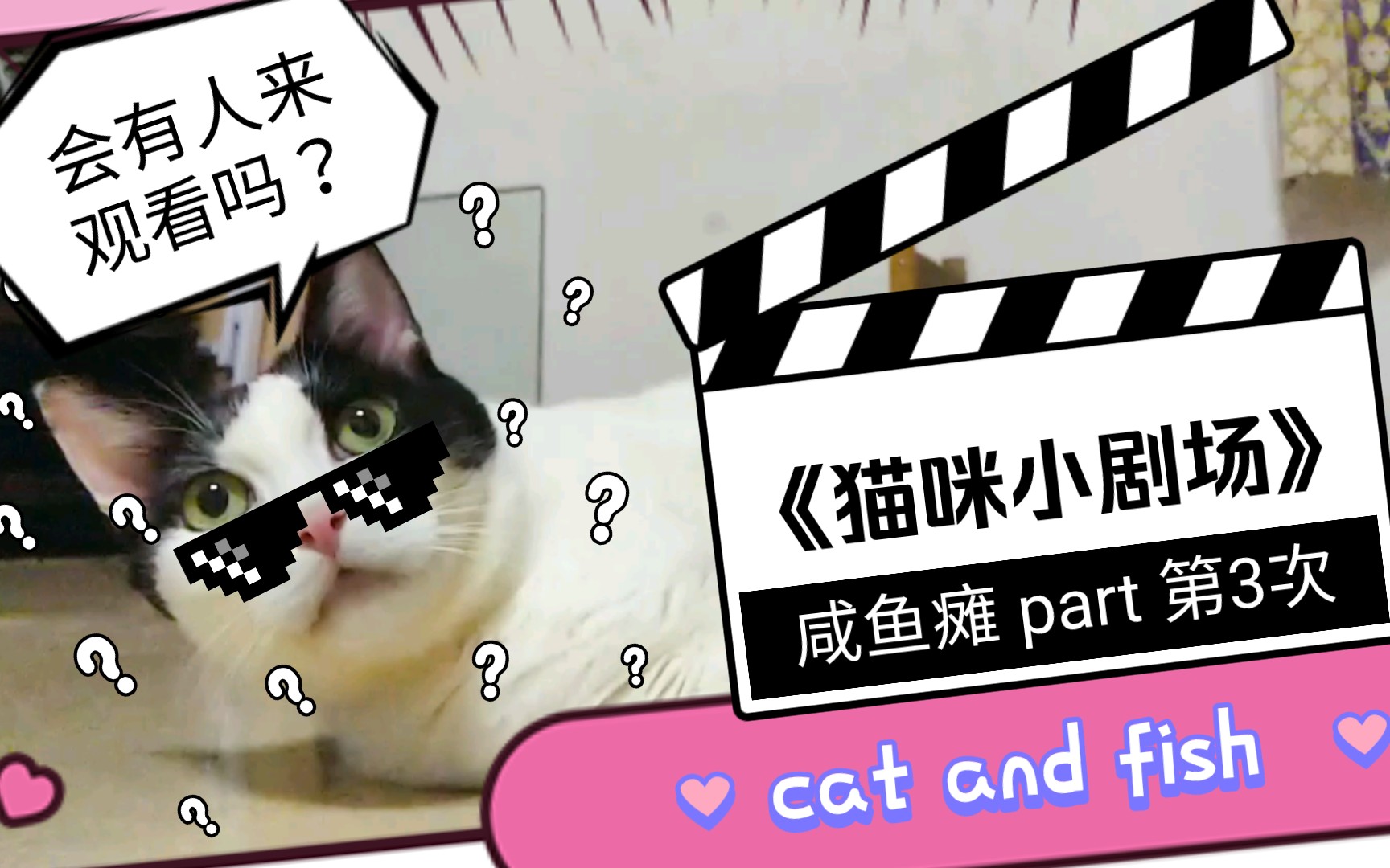 【喵星人】猫咪日常|喵咪小剧场之咸鱼瘫 cut