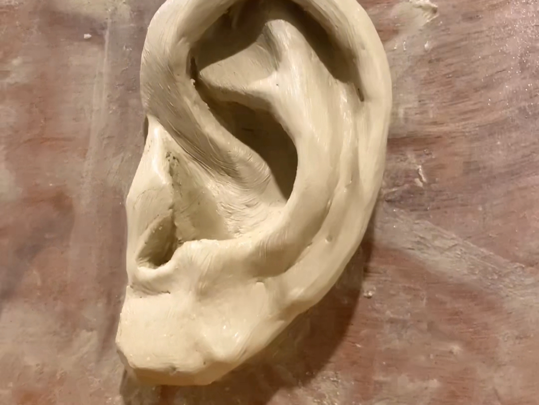 耳朵的结构会了吗#美术生#泥塑#素描头像#zbrush雕刻