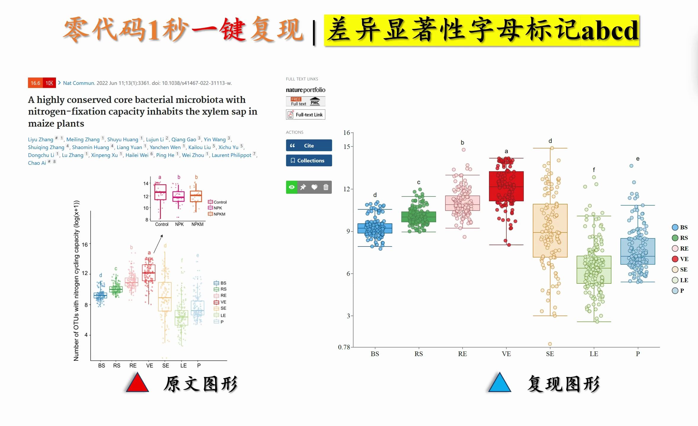 一秒复现差异显著箱线图 | 显著性字母标记abcd哔哩哔哩bilibili