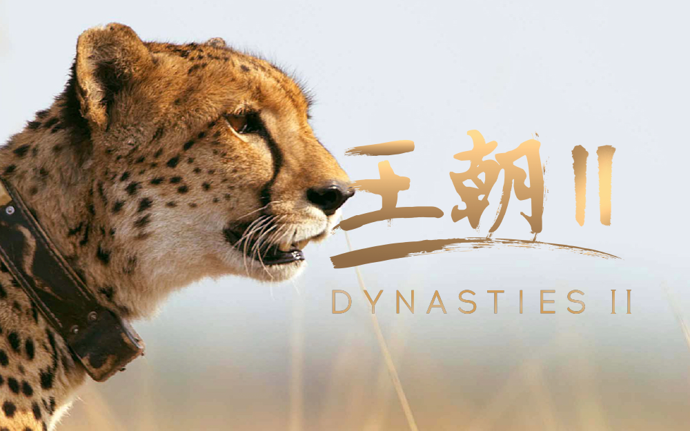 王朝2(中配版)第03集-纪录片-高清独家在线观看-bilibili-哔哩哔哩