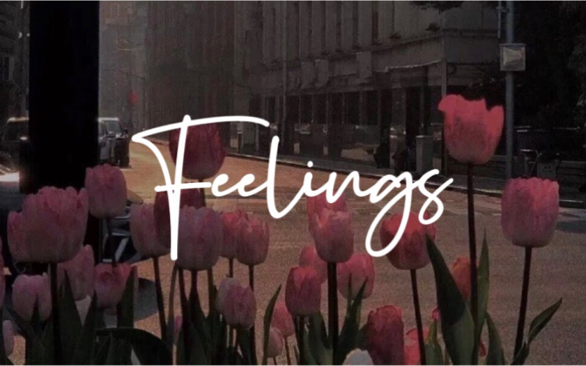 [图]日推欧美歌单｜Feelings—Lauv