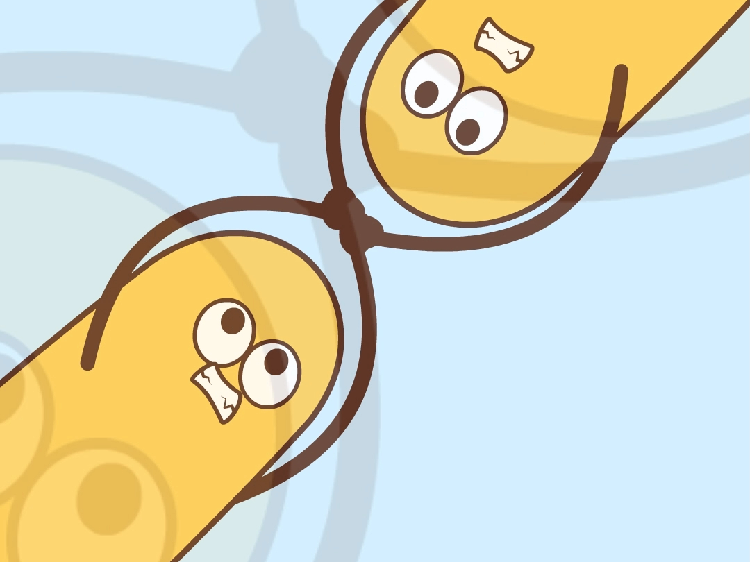 天气开始热了,要来一根棒棒冰吗?