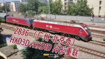 Download Video: [异形重联] “Z836邯郸站两道通过”HXD3D0537（京局京段）+HXD1D0238（广铁广段）