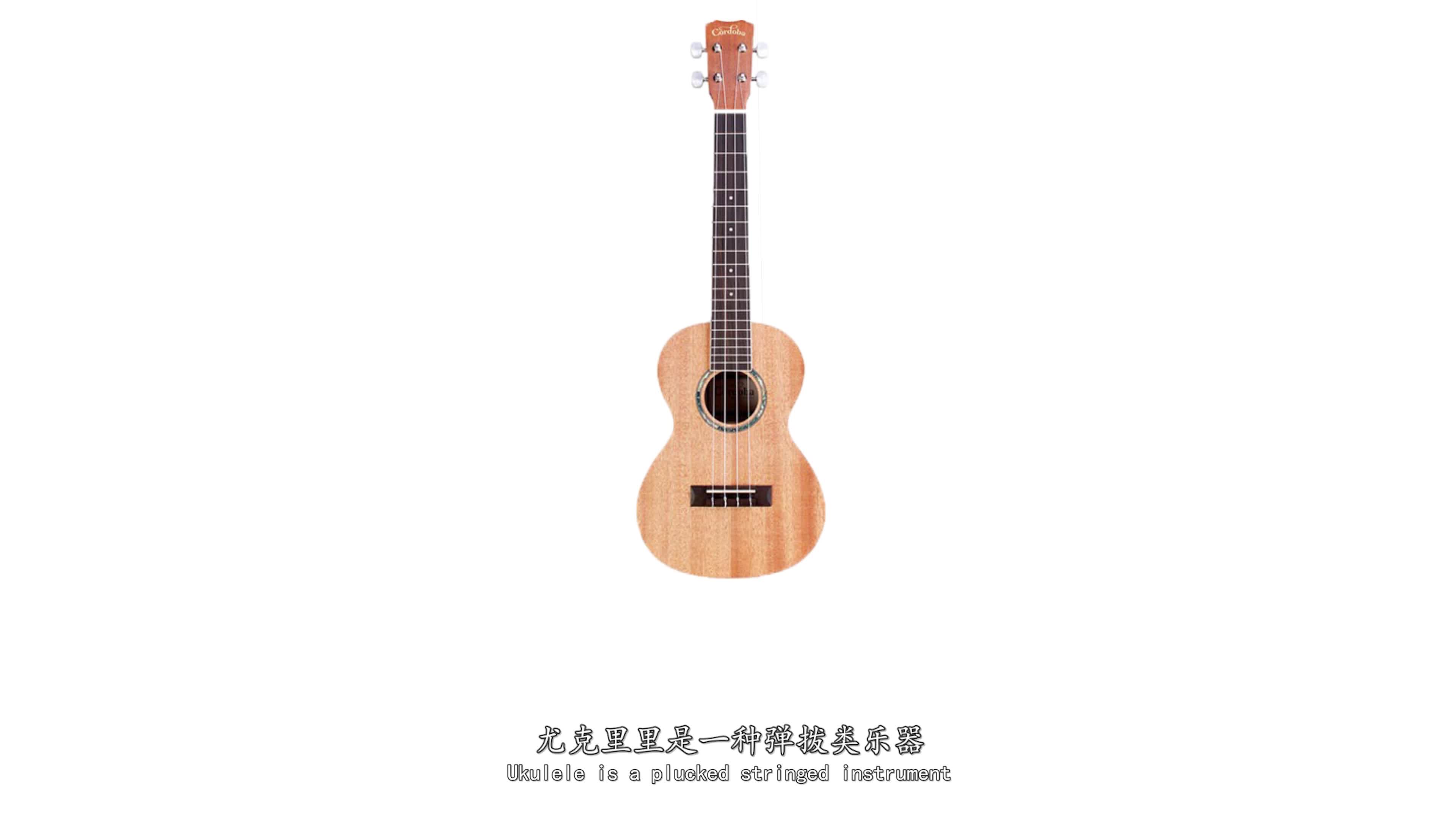 什么是Ukulele尤克里里哔哩哔哩bilibili