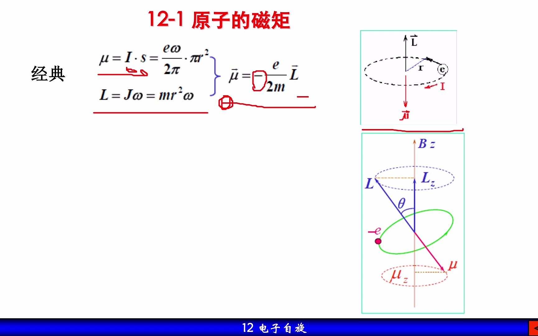 12. 电子自旋哔哩哔哩bilibili