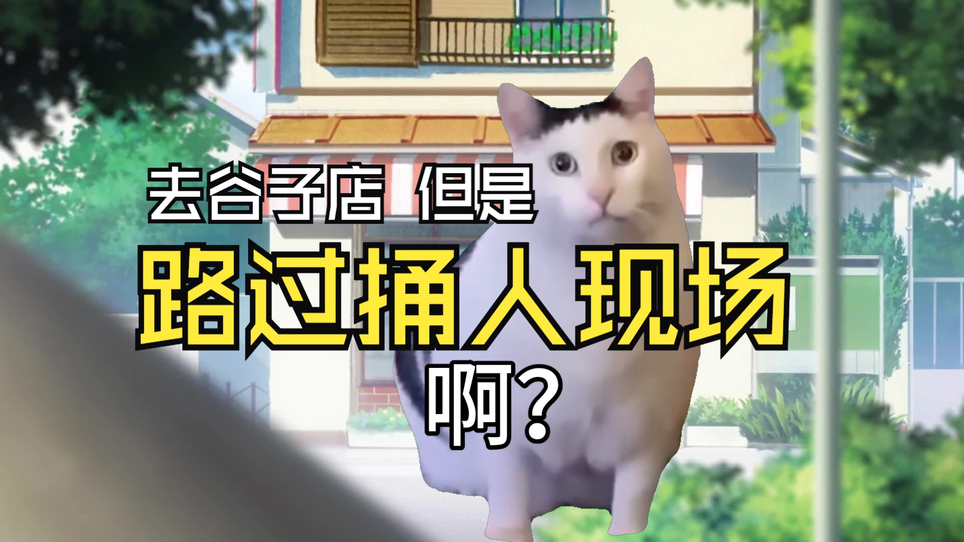 [图]【猫meme】哭着去谷子店 但路过捅人现场