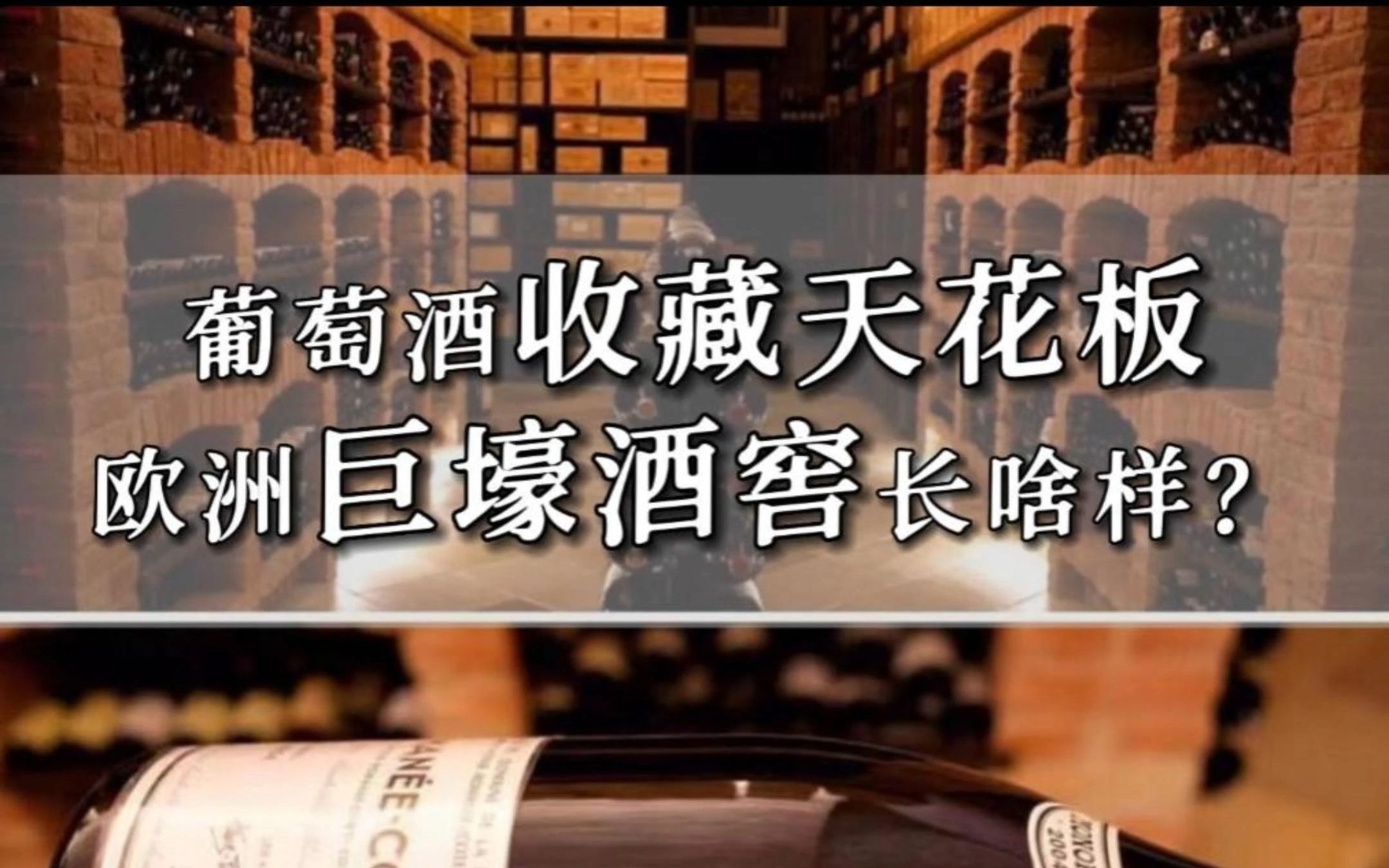 葡萄酒收藏天花板,欧洲巨豪酒窖长啥样?哔哩哔哩bilibili