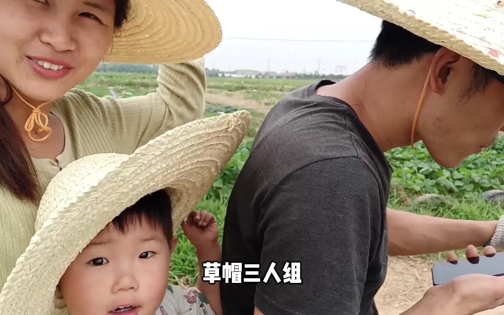 今年基地准备多种些百合花,自己动手开始搭建花棚,争取早些完工哔哩哔哩bilibili