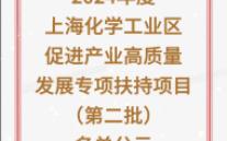 【上海化工区】:2024年度上海化学工业区促进产业高质量发展专项扶持项目(第二批)名单公示哔哩哔哩bilibili