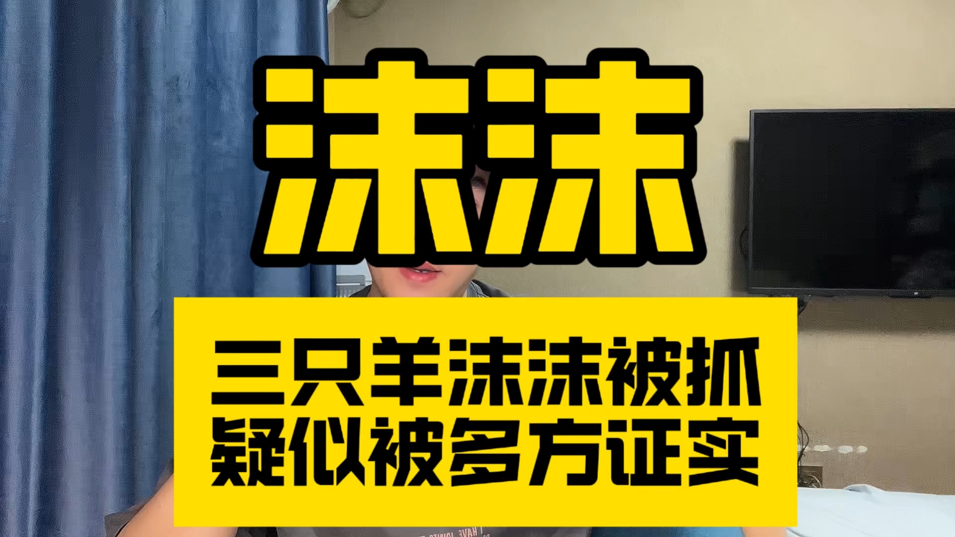 三只羊沫沫被抓疑似被多方证实,和卢文庆老婆有关,隐情全曝光哔哩哔哩bilibili