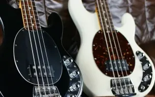 Download Video: MusicMan Stingray Classic 与 MusicMan Stingray 4H 玫瑰木指板贝斯音色对比