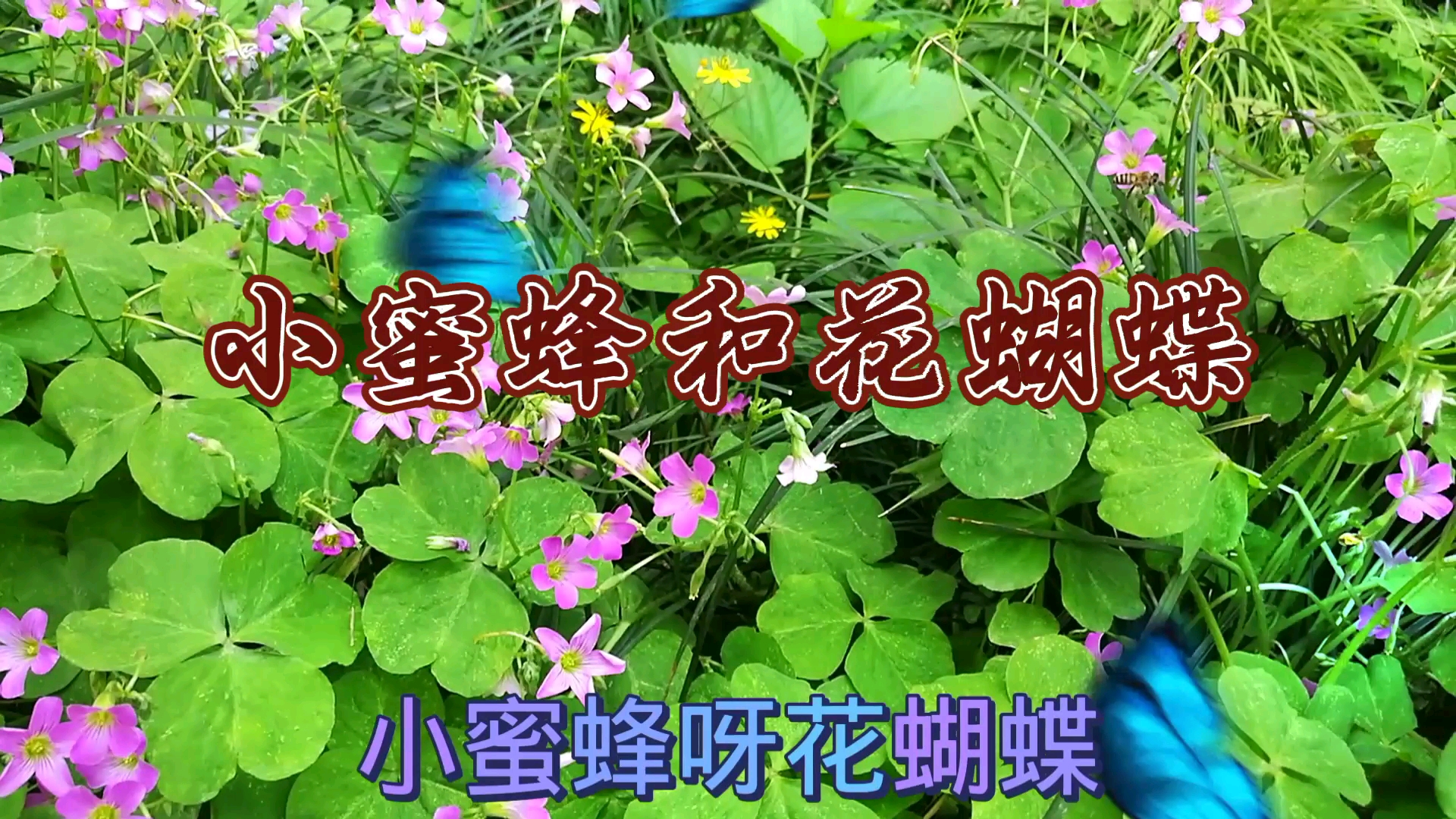 [图]小蜜蜂和花蝴蝶