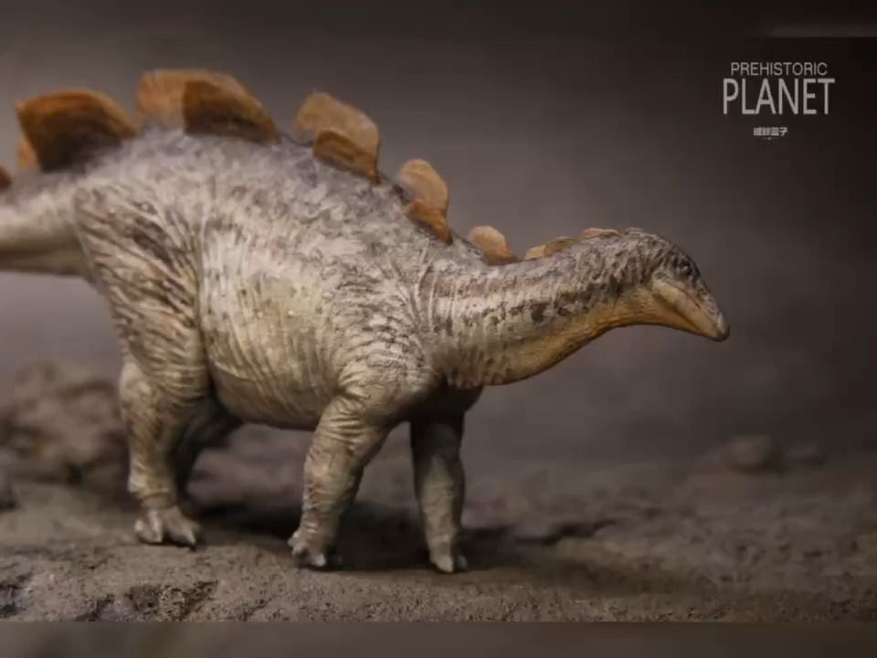 好龙谷乌尔禾龙重涂