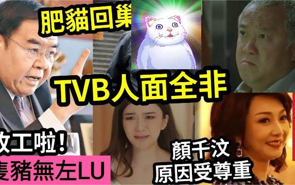 【伍间新闻娱乐八卦】肥猫救亡!郑则士“回巢TVB”称人面全非!一舞剧城陈星妤“终于无左只猪”可以大结局了?原来颜千汶好靓哔哩哔哩bilibili