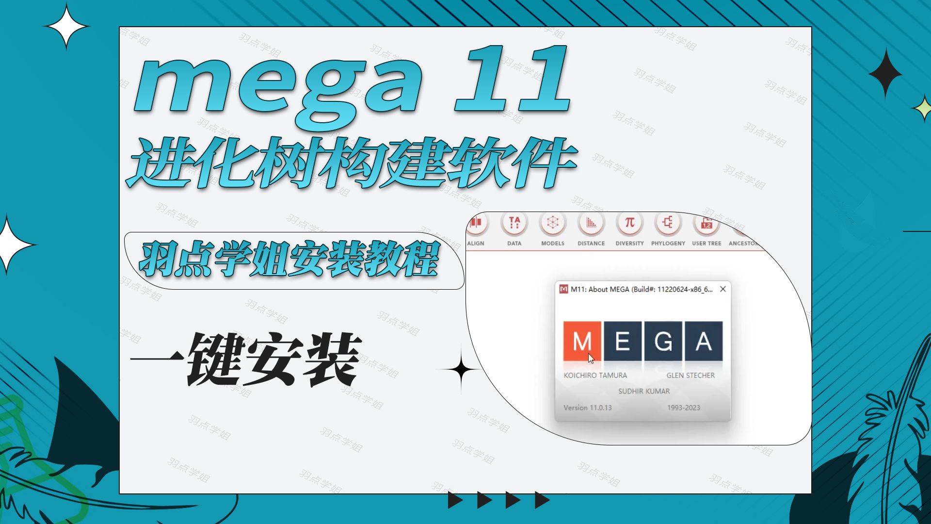 新版本一键安装mega11永久使用进化树构建美化软件哔哩哔哩bilibili