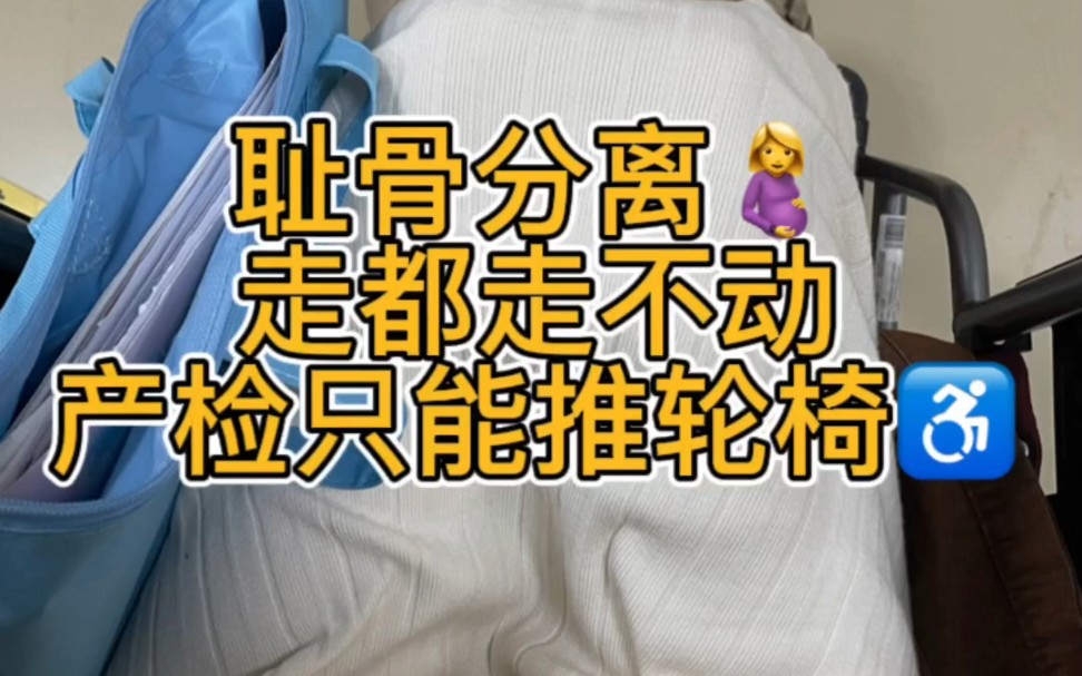 原来这就是耻骨痛!孕妇也太难了哔哩哔哩bilibili