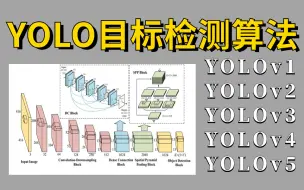 Télécharger la video: 【强推】华东理工博士全面讲解目标检测全套算法！内含：YOLOv5/v4/v3/v2/v1等多个算法及实战，赶紧收藏！