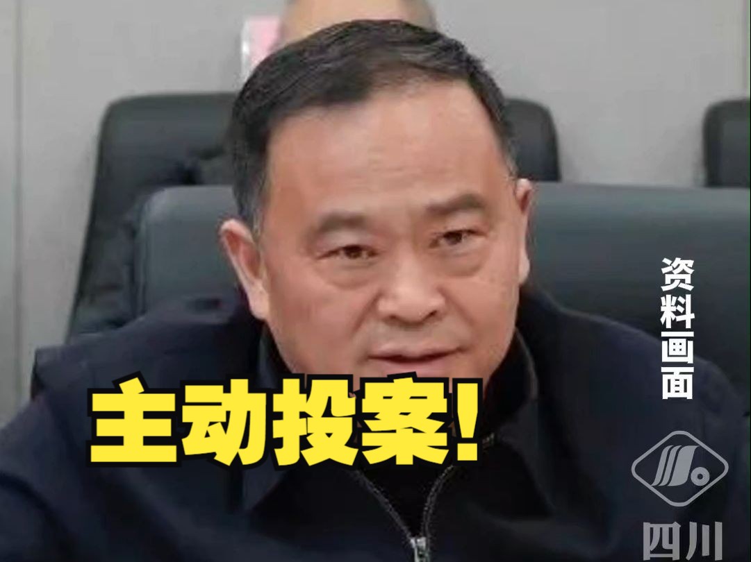 主动投案,雅安市生态环境局原局长李文峰被查哔哩哔哩bilibili