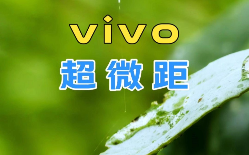 vivoX100Pro的超微距表现怎么样?哔哩哔哩bilibili