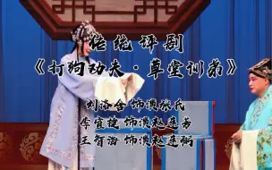 Download Video: 传统评剧《打狗劝夫·训弟劝夫》天津评剧院刘洛含饰演张氏