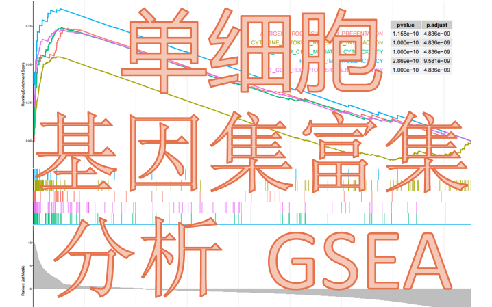 19. 保姆式教学单细胞GSEA(基因集富集分析),单细胞数据分析哔哩哔哩bilibili