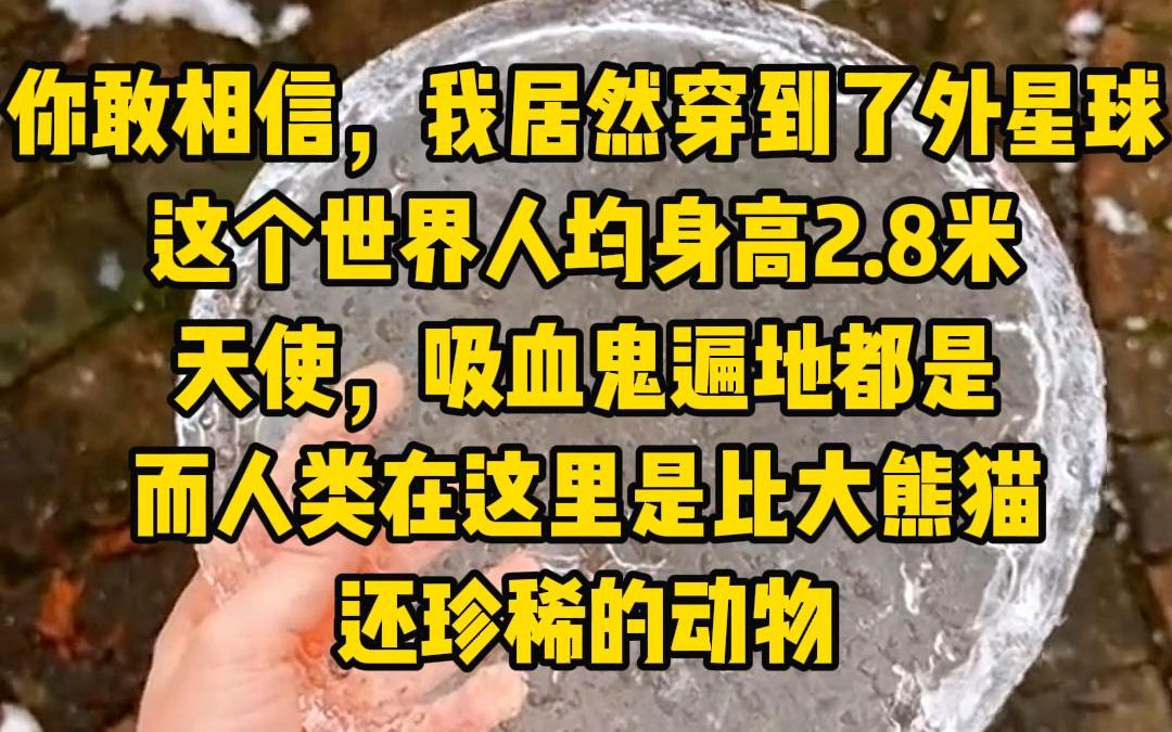 [图]《星际饲养》你敢相信？我居然穿到了外星球，这个世界人均身高两米八，天使吸血鬼遍地都是，儿人类在这里是比大熊猫还珍稀的动物