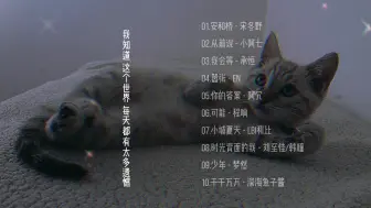 Download Video: 2024年（无损高音质）好听最火10手歌曲！