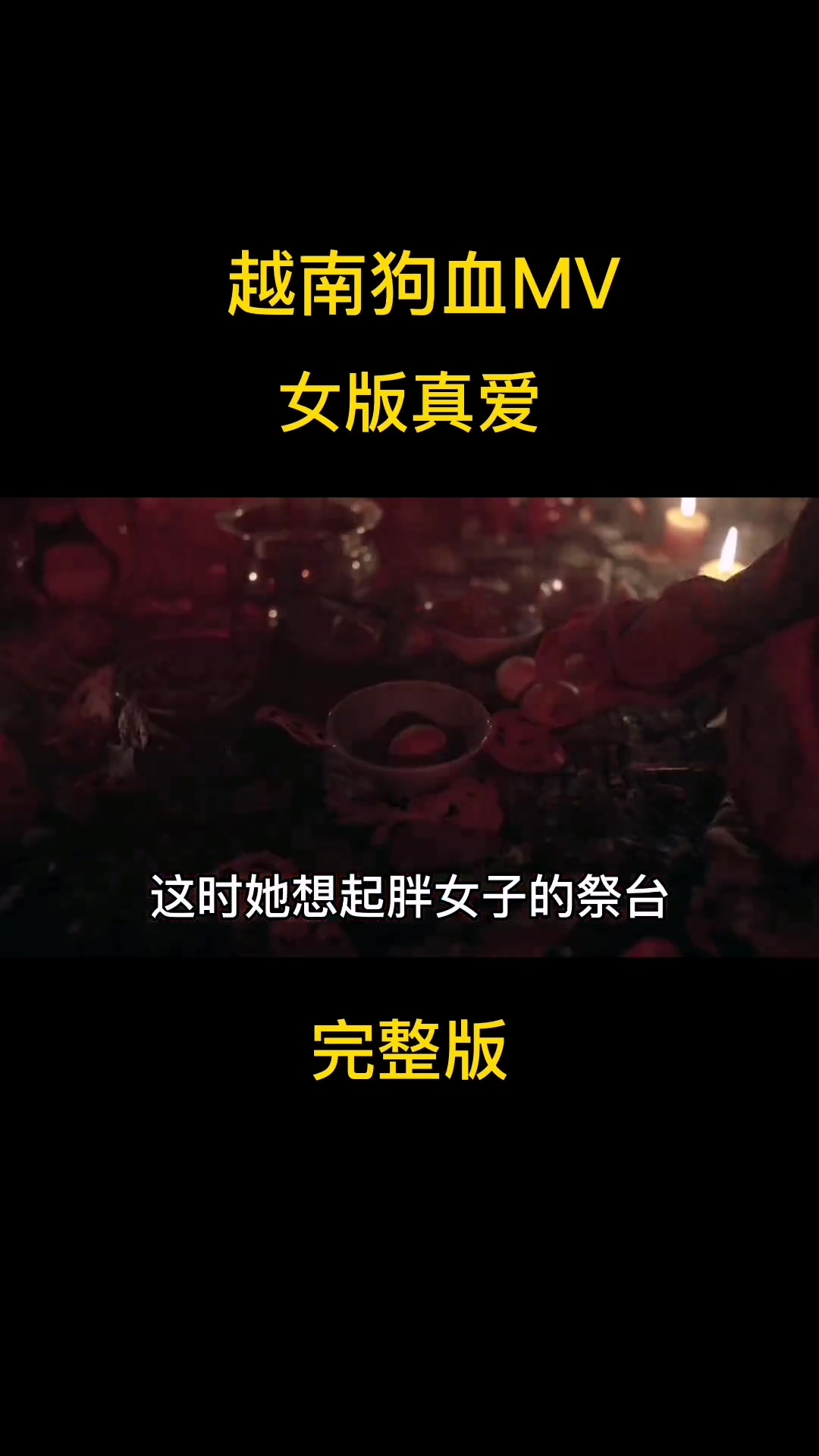 越南MV《真爱》图片