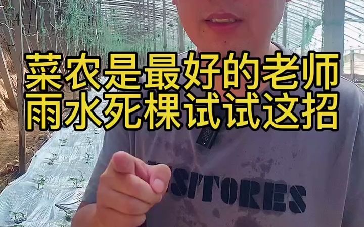 [图]【说三农】菜农是最好的老师，雨水死棵试试这招