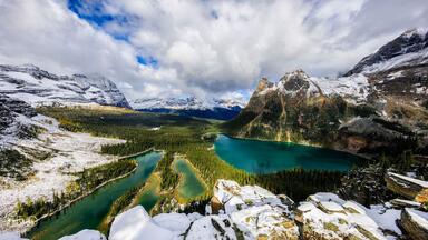 Foxtail-Grass Studio】Cattleya 幻想写景-妖-- Cattleya_哔哩哔哩_