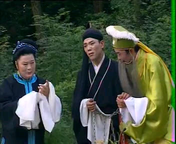 庐剧张廷秀私访吴南野