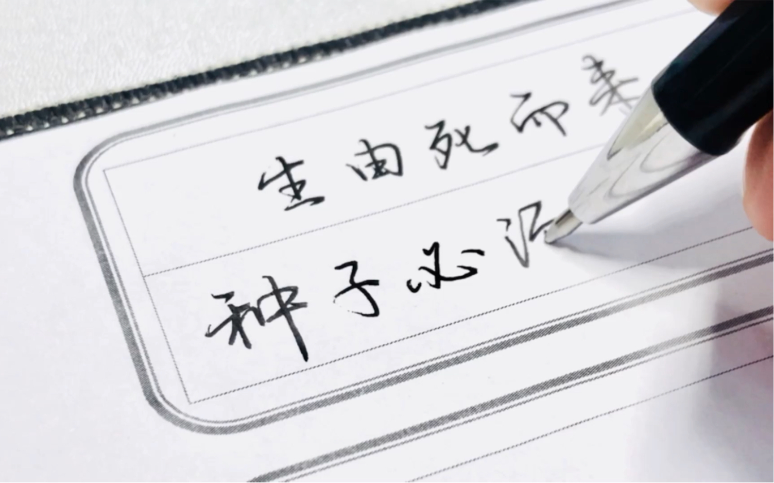 日常手写-"向死而生"