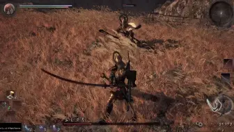 仁王 终于刷出了西国无双之铠制作图 哔哩哔哩 Bilibili