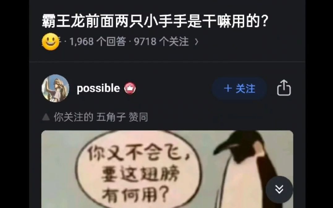 霸王龙前面两只小手手干嘛用的?哔哩哔哩bilibili