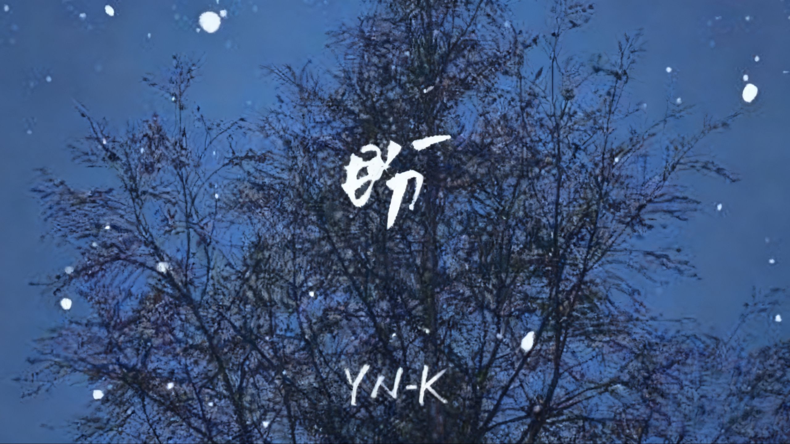 我欲等你，何俱几个春秋 我喜欢你，心甘情愿不悔【Hi-Res无损 盼 - YN-K】