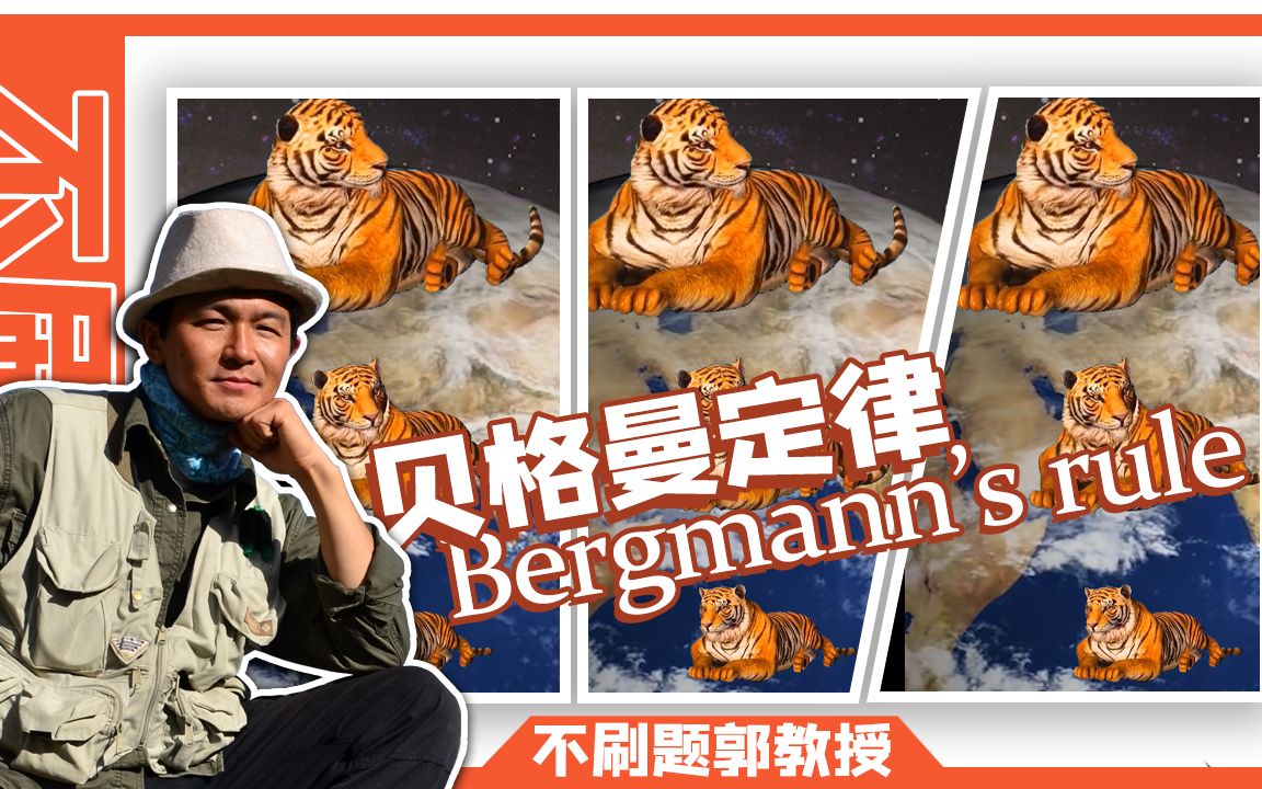 贝格曼定律Bergman's rule哔哩哔哩bilibili