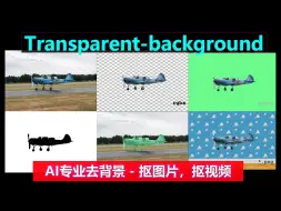 Tải video: AI专业抠图，1s去除背景，支持图片，视频抠图，一键生成绿幕，多种模式供你选择！