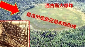 通古斯大爆炸 人类有记载以来最大的爆炸 比核爆威力大 1000倍 究竟是如何发生的 是陨石还是其他东西 老高与小茉mr Mrsgao Youtube搬运工 哔哩哔哩